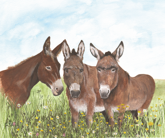 503 Three Donkeys