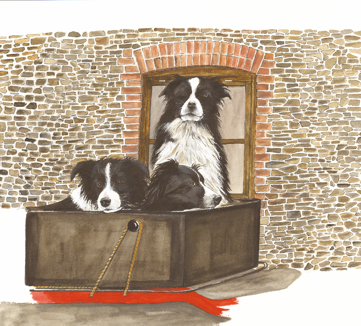 513 Three Collies