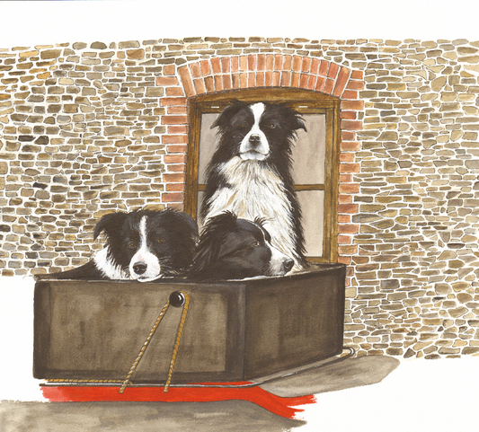 513 Three Collies