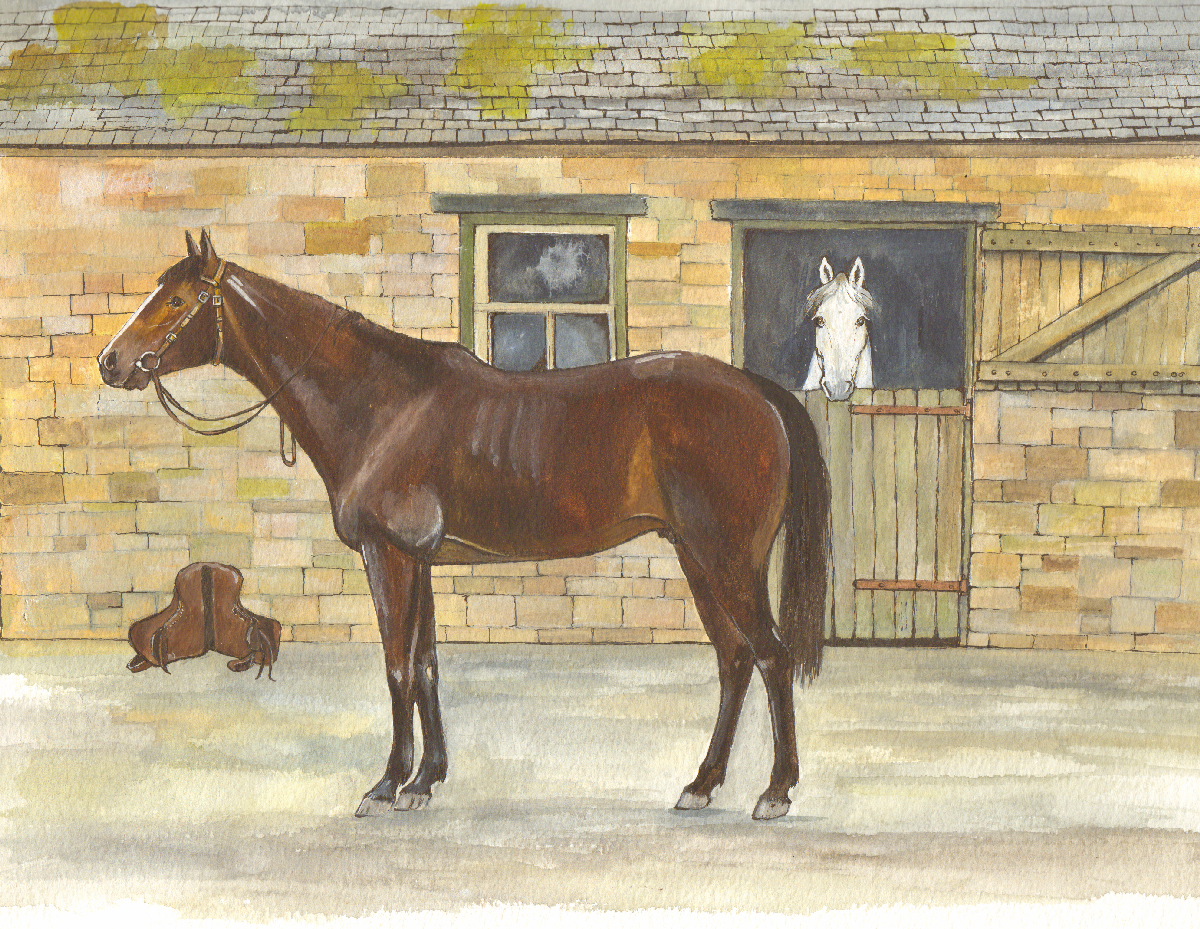 516 - Horse at the Stables