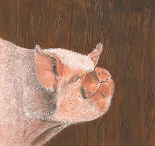 548  Middle White Pig