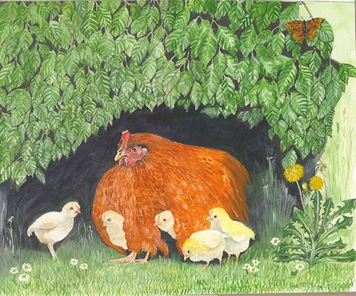61 Broody Hen