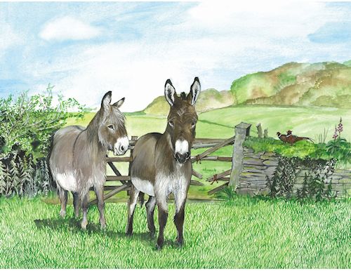 65 Two Donkeys By Gate