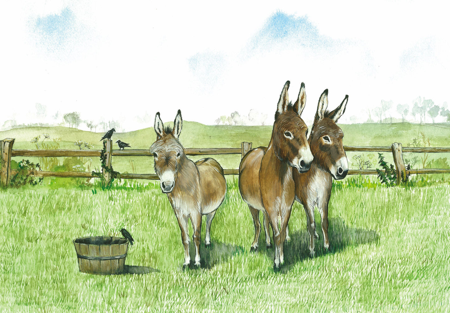 66 3 Donkeys By Feed Tub