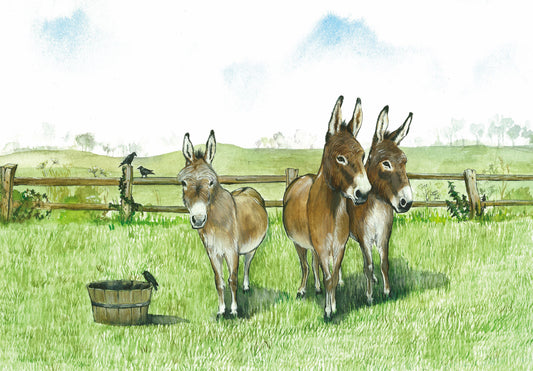 66 3 Donkeys By Feed Tub