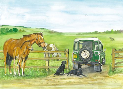69 Mare, Foal And Land Rover