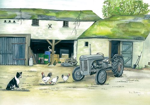 7 Grey Fergie In Yard