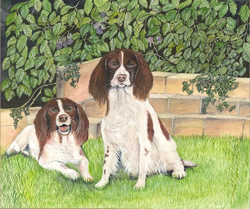 76 Two Spaniels