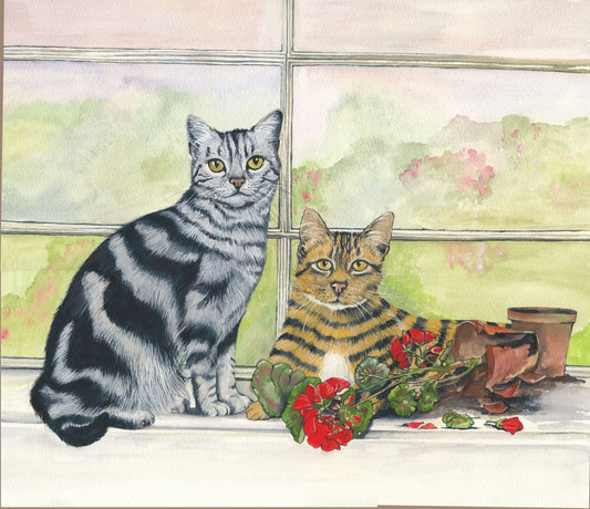 81 Cats Innocent with Geranium