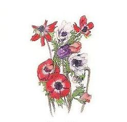 131 Anemone
