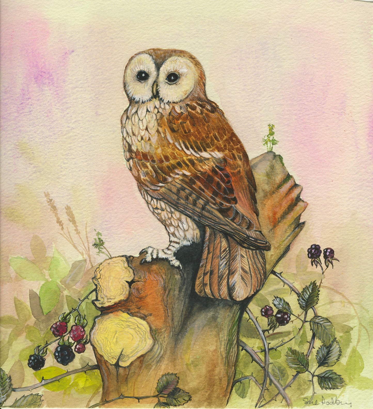 124 - Watchful Owl