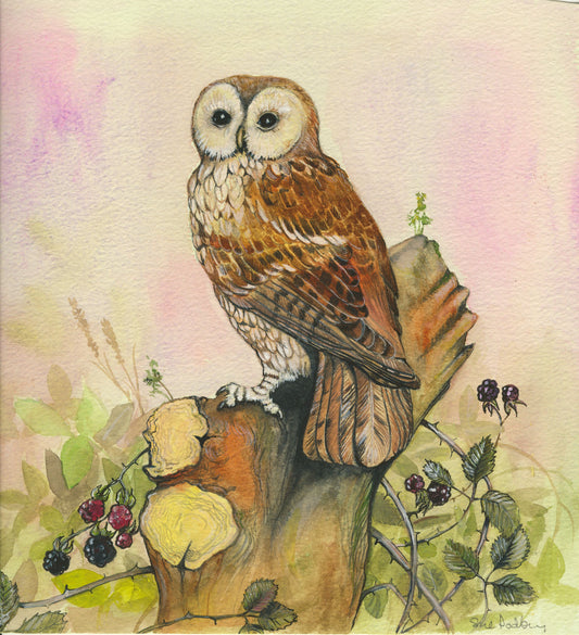 124 - Watchful Owl