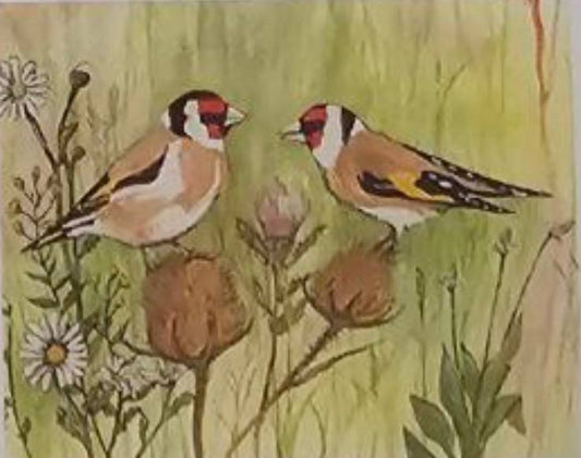526 - Goldfinches