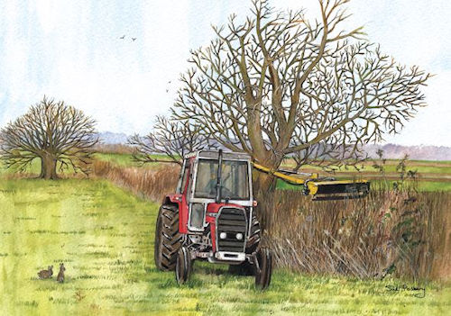 495 Hedge cutting masseySm