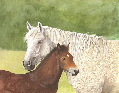 553 - Fleabitten Horse and foalSm